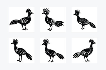 Hoatzin Animal Vector Illustration design.