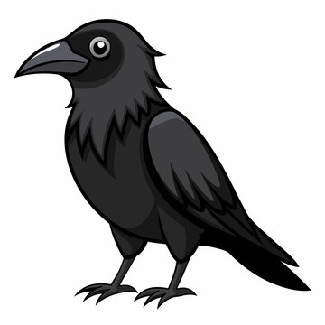 recommend clip art: Crow on a white background
