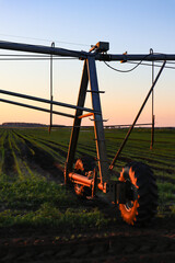 Field with mobile Irrigation system for water supply. Automatic field watering system.