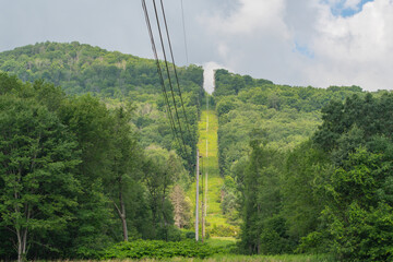 Obraz premium Copy space selective focus mountain valley power lines clearance in the woods, summer green lush forest, energy Industry background image