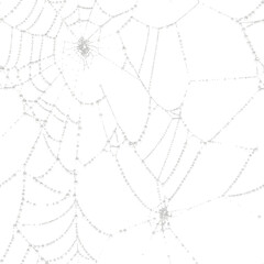 Seamless spider web texture, tileable spider web pattern, isolated on a transparent background