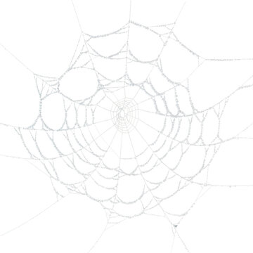 Detailed spider web design, isolated on transparent background