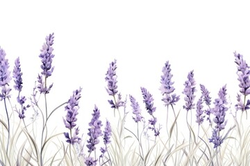 Naklejka premium Lavender backgrounds blossom flower.