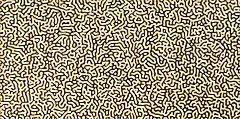 Abstract Turing organic wallpaper with background. Turing reaction diffusion monochrome seamless pattern with chaotic motion. Natural seamless line pattern.