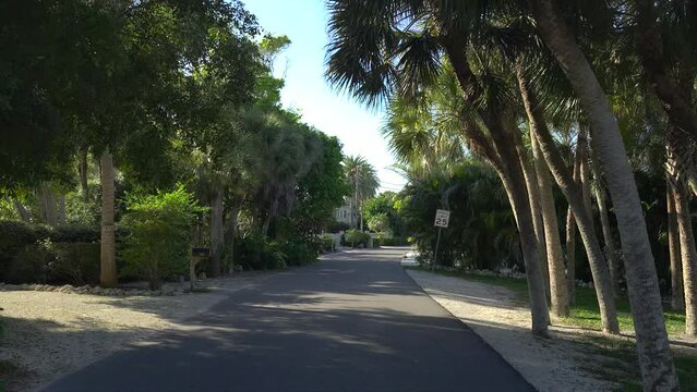 POV driving on Casey Key scenic road in sunny Florida.