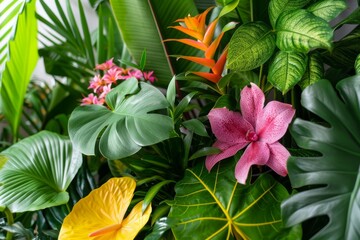 Vibrant tropical flower arrangement with lush green leaves, creating a colorful and exotic display