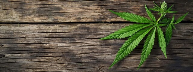 Cannabis leaves on a wooden background. selective focus. Generative AI,