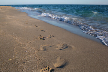 Footprints in the sand along a tranquil beach, with gentle waves lapping at the shore