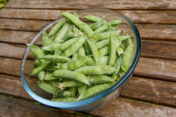 Freshly gathered pea pods in a bowl on a wooden table
