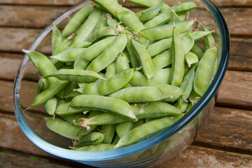Freshly gathered pea pods in a bowl on a wooden table