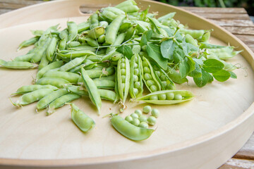 Freshly gathered pea pods , some open with seeds visible, on a wooden tray