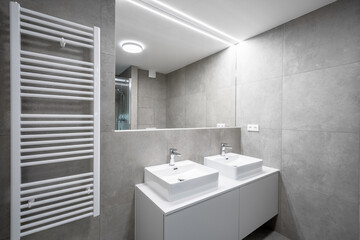 A modern bathroom with gray tiles, a double sink with chrome faucets, a large mirror, a glass-enclosed shower, and a wall-mounted towel heater.