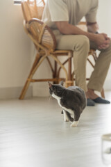 A Chinese Malaysian man in his 20s wearing casual, warm-colored clothing, playing with a cat around the bed in his home in Malaysia