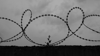 barbed wire fence in black and white shot