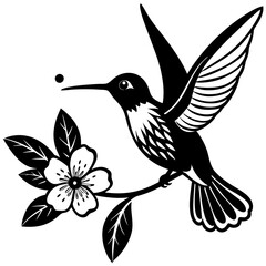 Vector illustration of Humming bird 