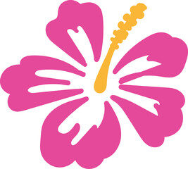 Pink hibiscus flower vector illustration. Flower drawing