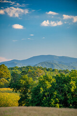 Fototapeta premium mountains near Franklin, NC