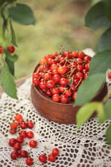 A photo of a ripe red cherry on a plate.