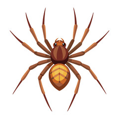 Illustration of Brown Recluse Spider animal