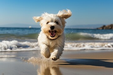 Dog outdoors animal mammal.