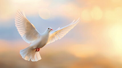 Fototapeta premium White dove gracefully flying. Symbolizing freedom and liberation. Capture the essence of hope, peace, and emancipation as the dove soars into the open sky 