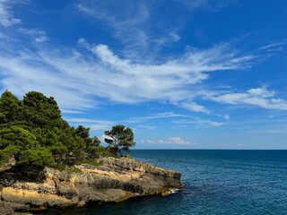 Sea and coastal rocks overgrown pine trees at summer