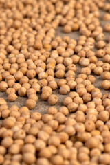 uncooked healthy grains of chickpeas porridge