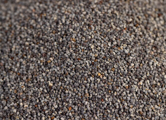 scattered poppy seeds for cooking