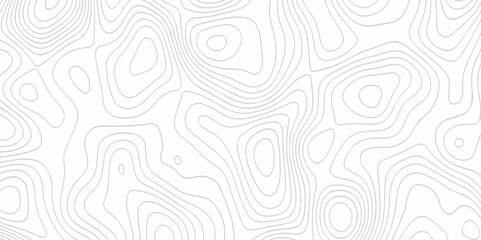 The stylize topography landscape grid map and counter wave line geometric wire outline area design. nature strip diagram topographic creative concept discovery line map texture background.