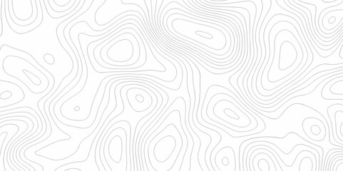 The stylize topography landscape grid map and counter wave line geometric wire outline area design. nature strip diagram topographic creative concept discovery line map texture background.