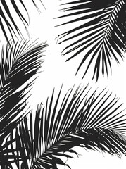 Obraz premium Black and white palm leaves on a light background. Minimalism,