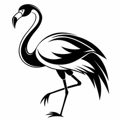 flamingo background, flamingo, flamingo vector