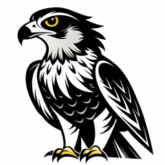 hawk school logo, hawk bird logo,