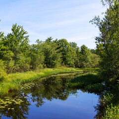 Tranquil summer day at Goose River in Maine in the summer.
