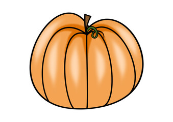 pumpkin isolated on transparent background
