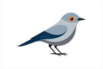 Warbler bird vector artwork illustration 