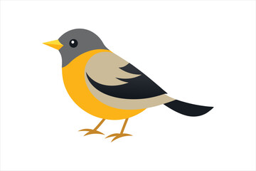 Warbler bird vector artwork illustration 