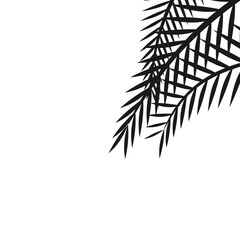 Silhouette Palm Corner