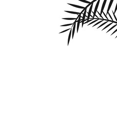 Silhouette Palm Corner