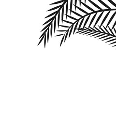Fototapeta premium Silhouette Palm Corner