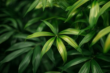 Tropical Foliage Close-Up