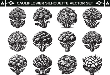 Cauliflower silhouette vector illustration set