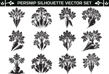 Parsnip silhouette vector illustration set