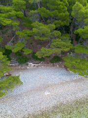 Aerial landscape. Top view of the sea, coast and trees, Adriatic coast of Croatia.