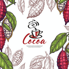 Cocoa beans on a branch. Background for covers flyers banners