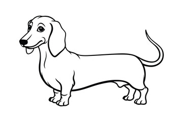 funny purebred dachshund dog vector line art