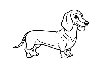 funny purebred dachshund dog vector line art