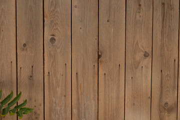 A weathered wood fence with a small green leaf in the corner