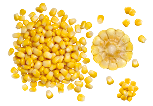 espiga de milho cortada acompanhado de grãos de milho visto de cima isolado em fundo transparente