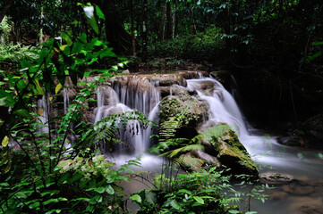 Waterfall in the wet forest